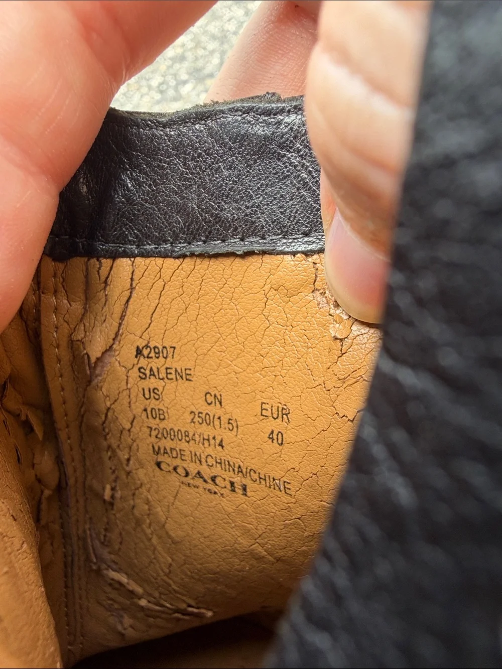 Coach Black Leather Ankle Booties with Gold-Tone Logo Accent